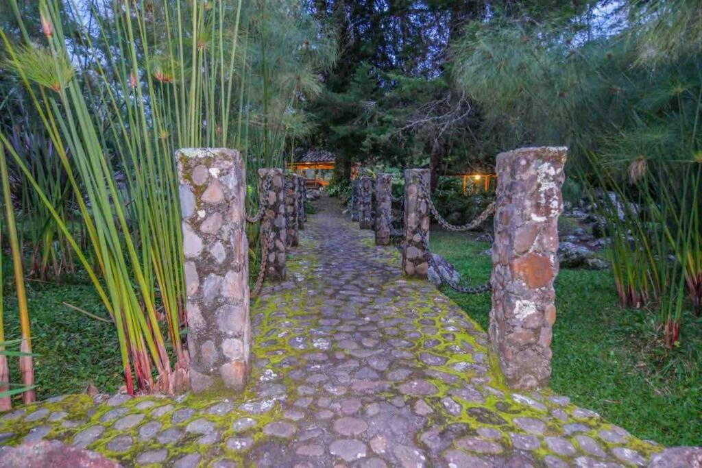 Вілла Finca Punta De Piedra Salento, Quindio Екстер'єр фото