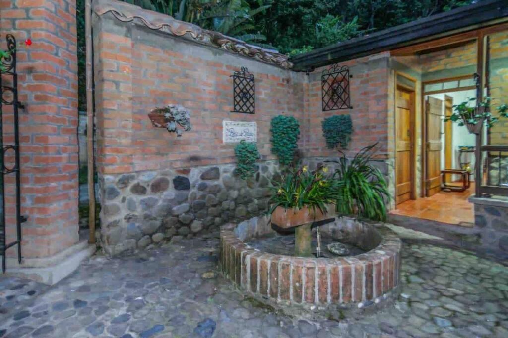 Вілла Finca Punta De Piedra Salento, Quindio Екстер'єр фото