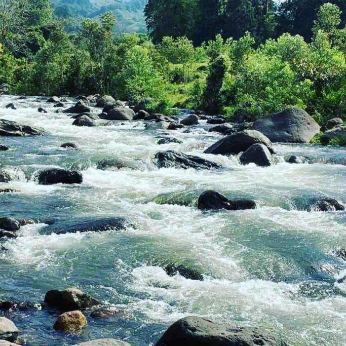 Вілла Finca Punta De Piedra Salento, Quindio Екстер'єр фото