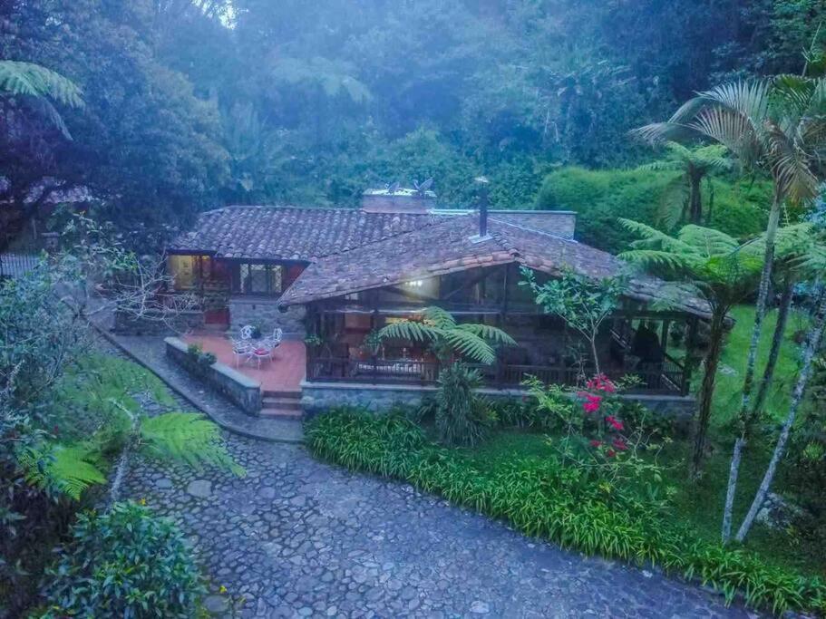 Вілла Finca Punta De Piedra Salento, Quindio Екстер'єр фото