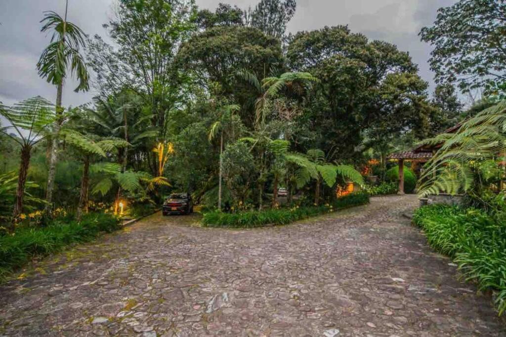 Вілла Finca Punta De Piedra Salento, Quindio Екстер'єр фото